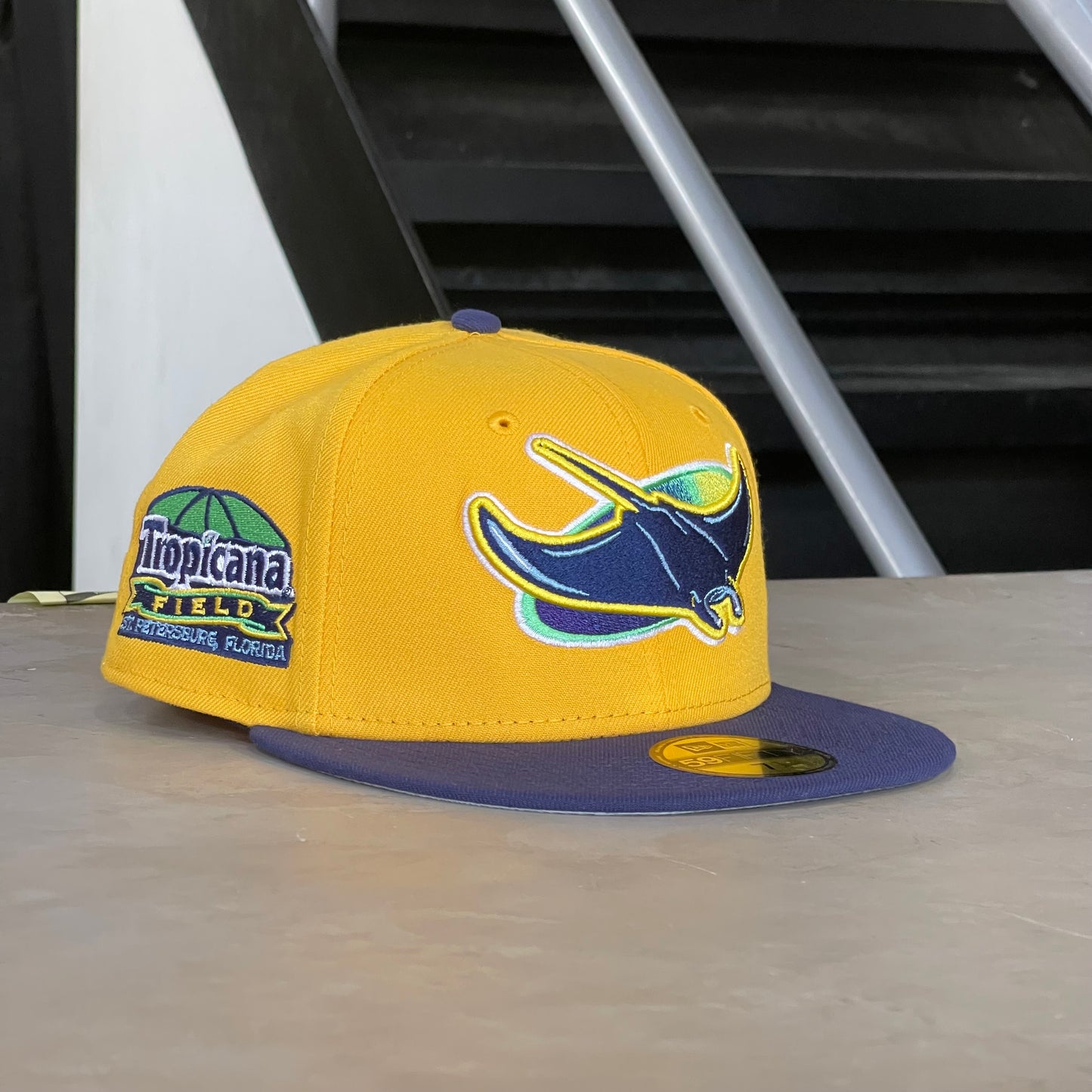 TAMPA BAY RAYS TROPICANA FIELD EXCLUSIVA