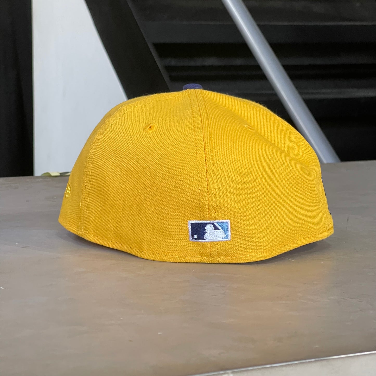 TAMPA BAY RAYS TROPICANA FIELD EXCLUSIVA