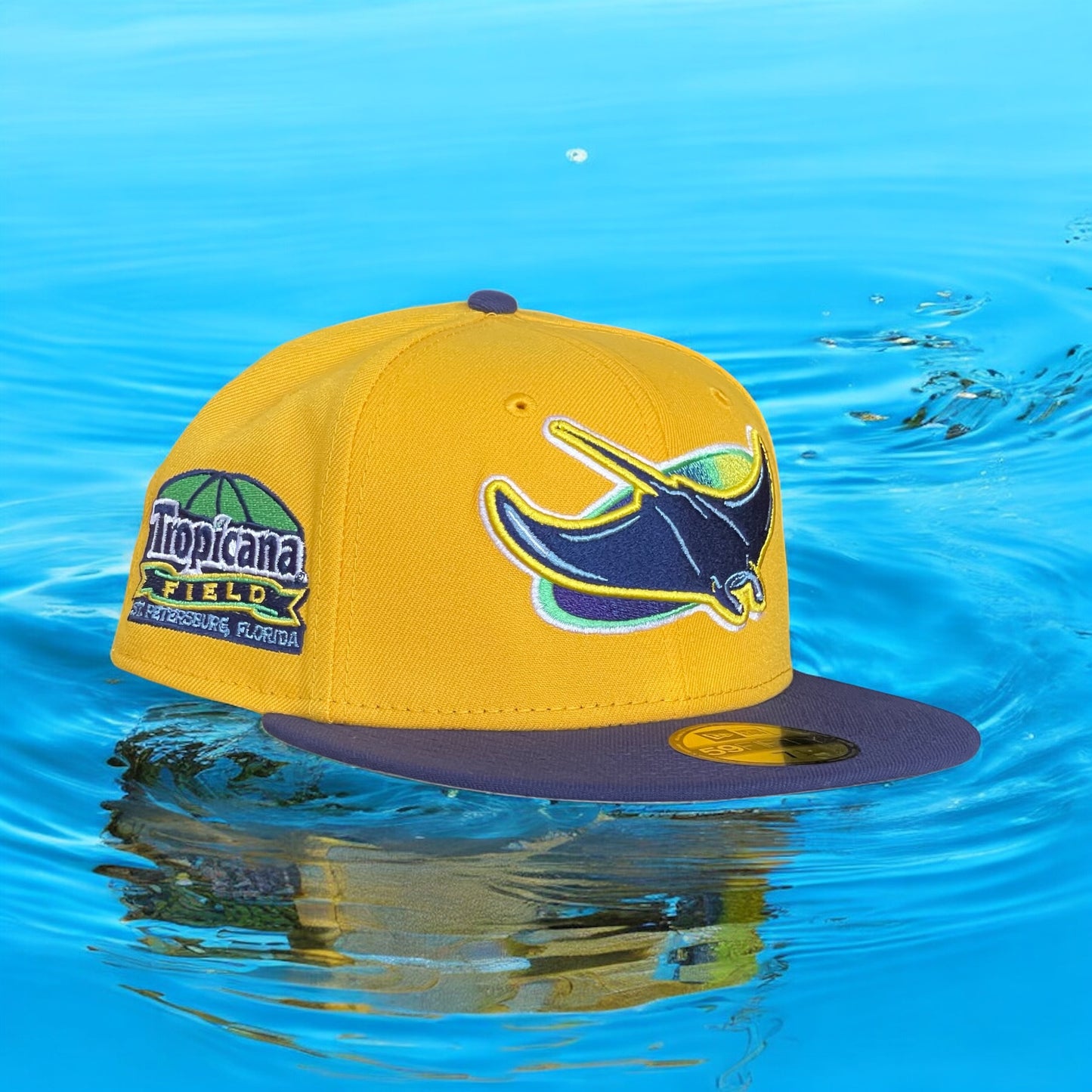 TAMPA BAY RAYS TROPICANA FIELD EXCLUSIVA