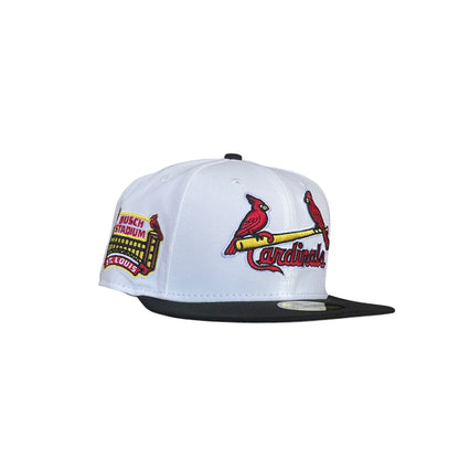 ST. LOUIS CARDENALES BUSCH STADIUM EXCLUSIVA