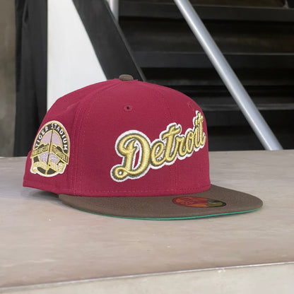 DETROIT TIGERS STADIUM EXCLUSIVA