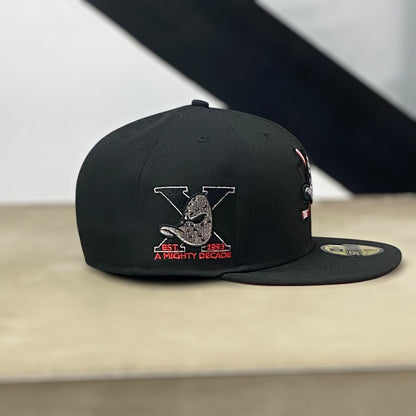 ANAHEIM DUCKS A MIGHTY DECADE NHL