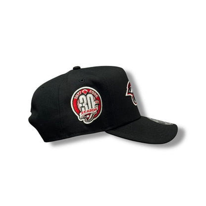 TORONTO BLUE JAYS 30 SEASON