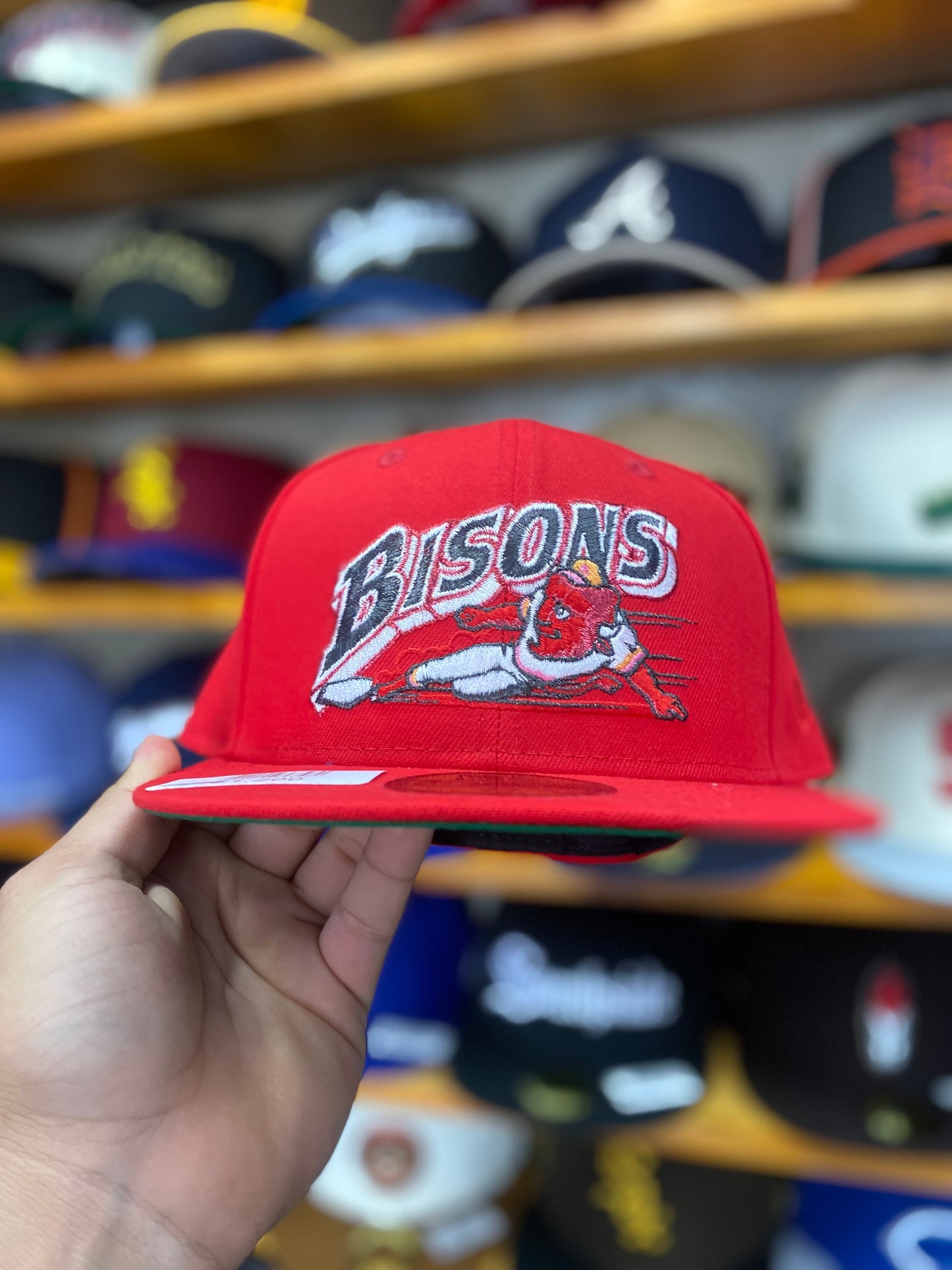 BISONS EXCLUSIVA