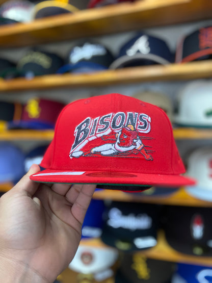 BISONS EXCLUSIVA