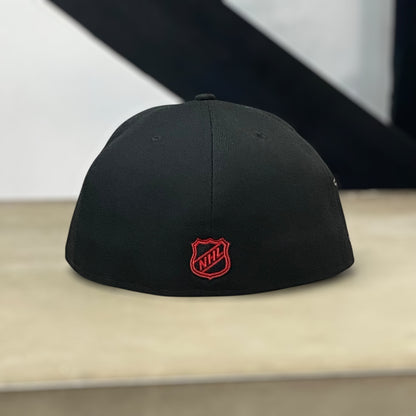 ANAHEIM DUCKS A MIGHTY DECADE NHL