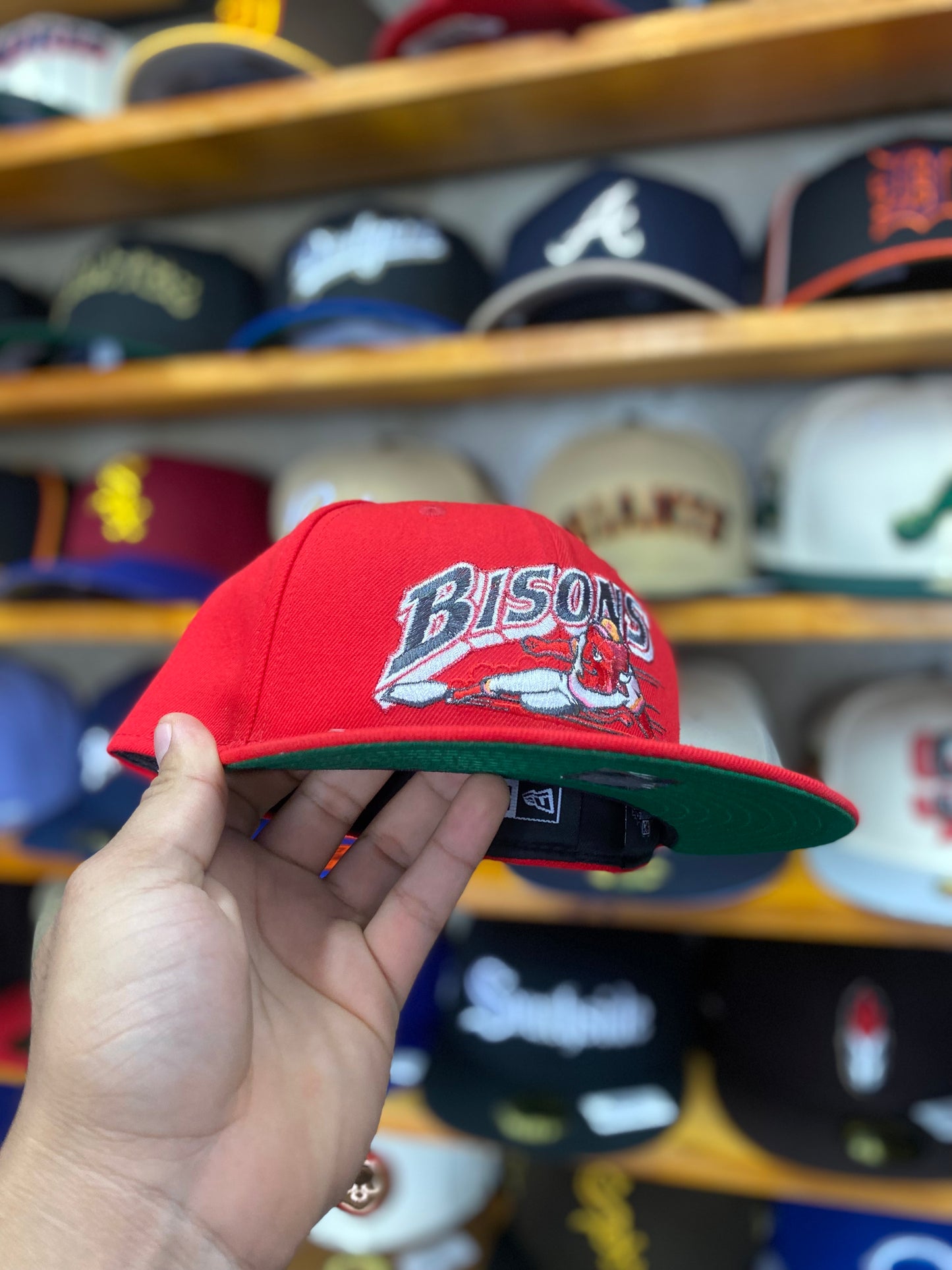 BISONS EXCLUSIVA