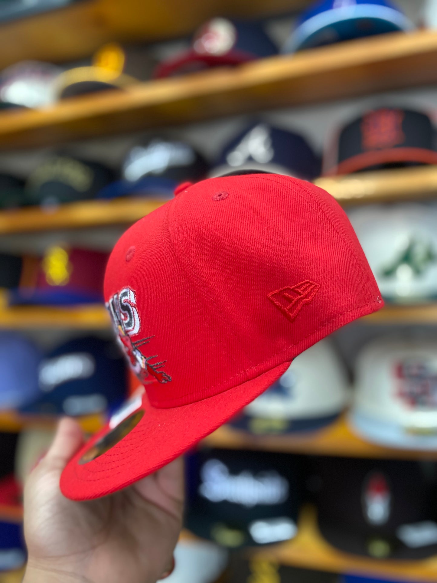 BISONS EXCLUSIVA