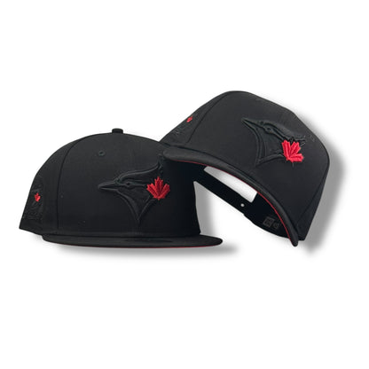 TORONTO BLUE JAYS 40th SEASON AJUSTABLE