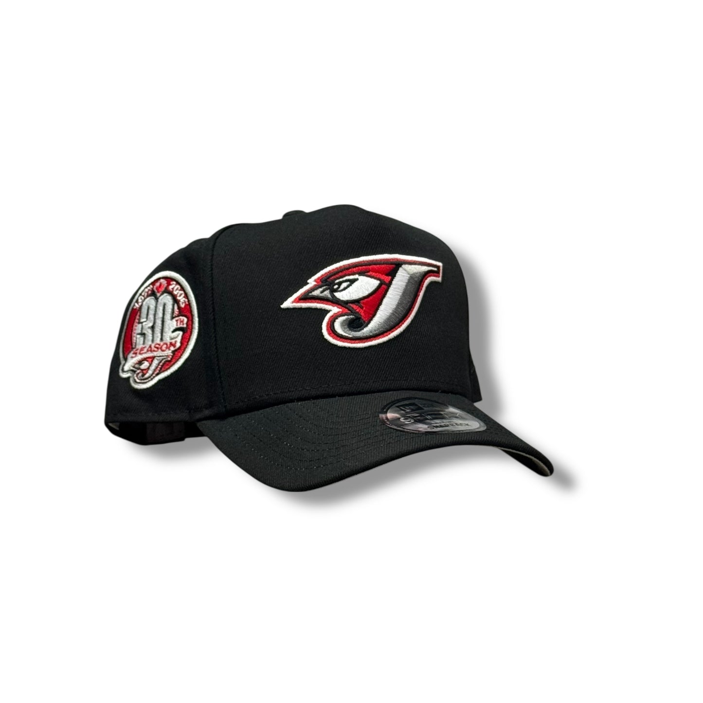 TORONTO BLUE JAYS 30 SEASON