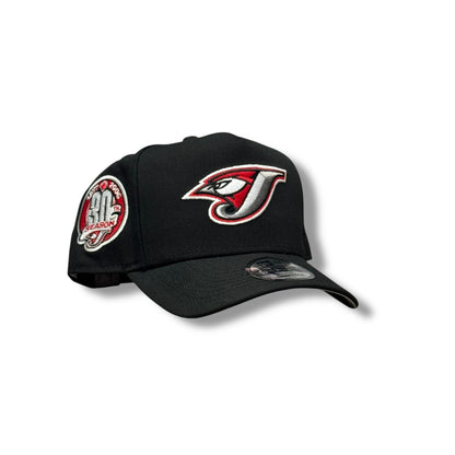 TORONTO BLUE JAYS 30 SEASON