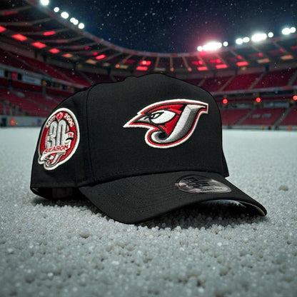 TORONTO BLUE JAYS 30 SEASON