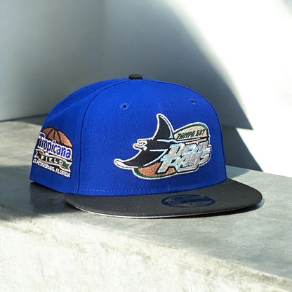 TAMPA BAY RAYS TROPICANA FIELD EXCLUSIVA
