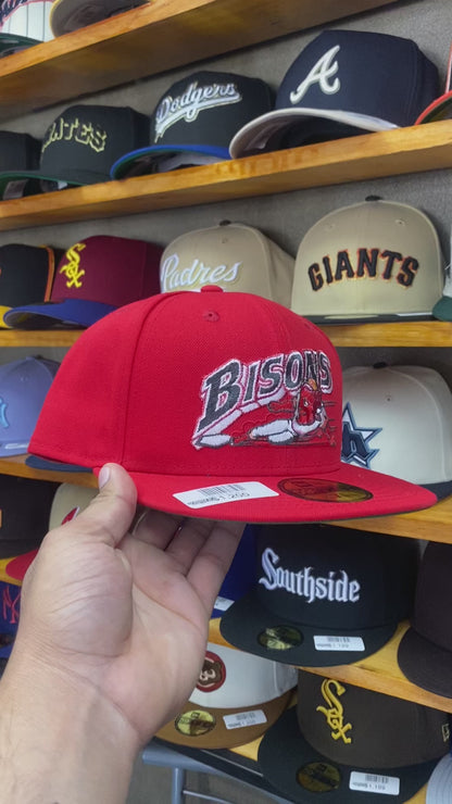 BISONS EXCLUSIVA